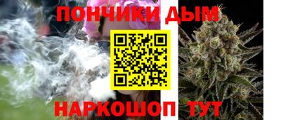 сатива Можга