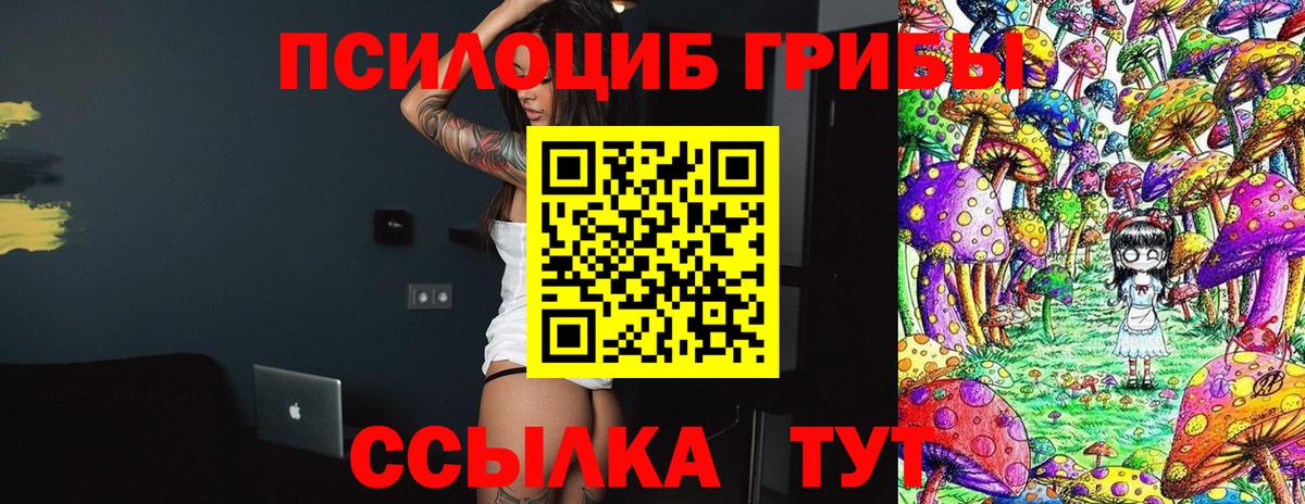 Галлюциногенные грибы Psilocybe Волгоград
