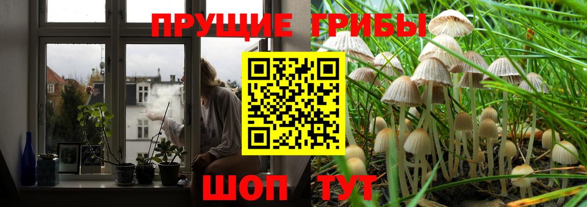 Псилоцибиновые грибы GOLDEN TEACHER  Вход с VPN  Волгоград 